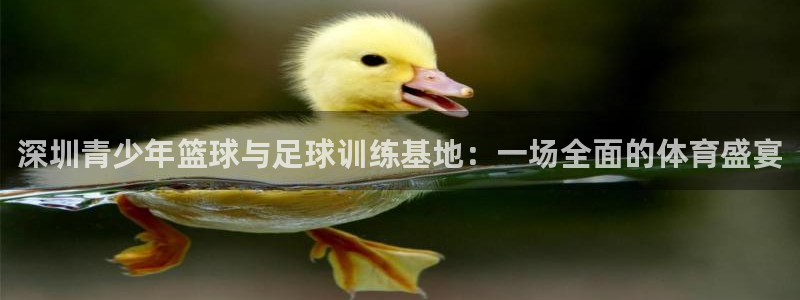 火凤体育v1211.官网打开游戏.org/：深圳青少年篮球与足球训练基地：一场全面的体育盛宴