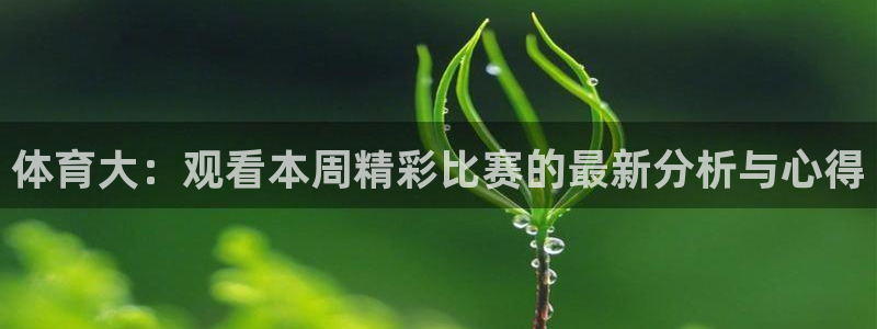 关键词
