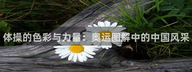 火凤体育直播高清入口