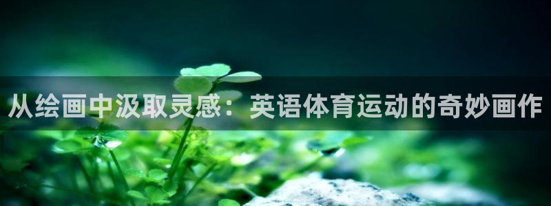 火凤体育